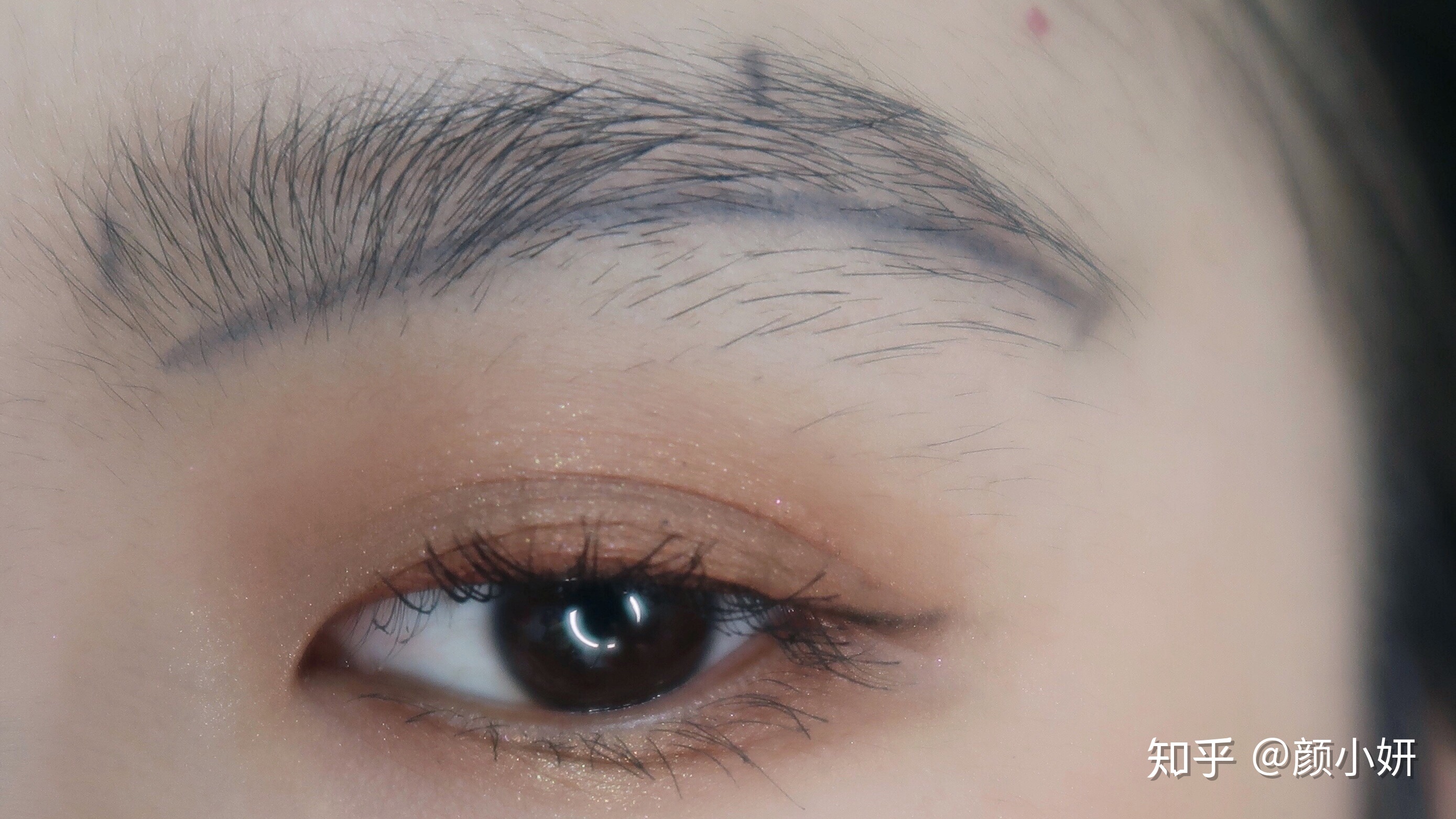 Canalys：2025年第二季度美国智能手机出货量同比增长1%