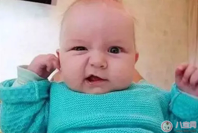 日本订单占比超三成 Rocket Lab(RKLB)成亚太卫星部署关键引擎