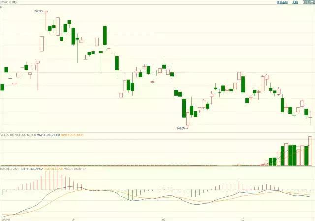 我市召开2025年全市公安局长会议