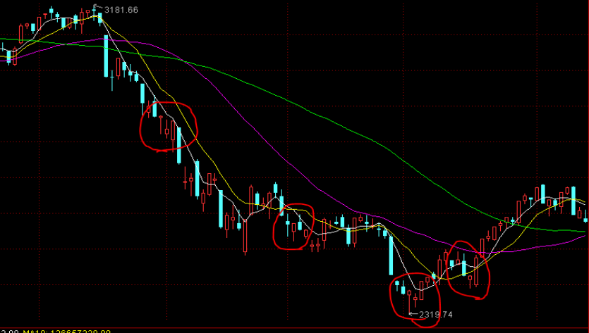 “我们自己设计组装了一套新设备”