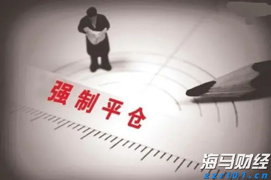 港北区：春风送岗促就业 精准服务助发展