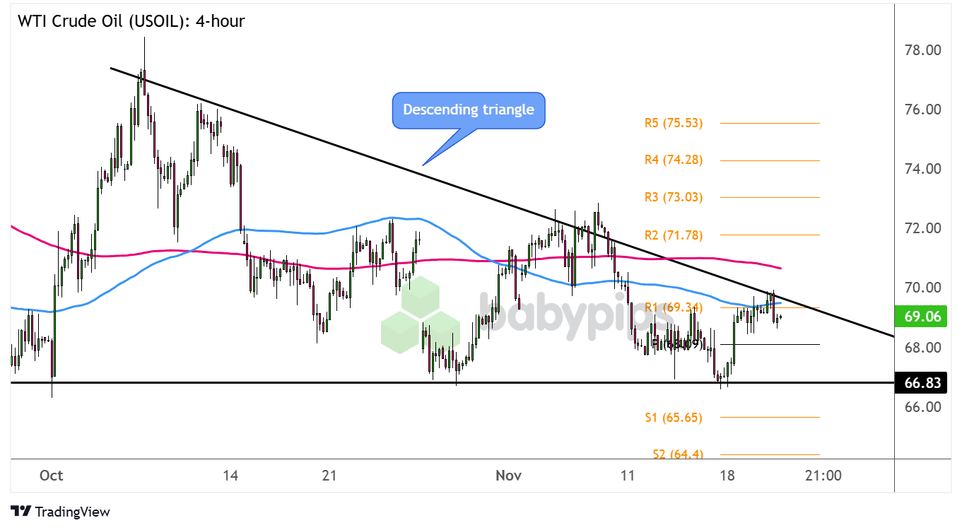 雷州市博物馆暑期延长开放时间